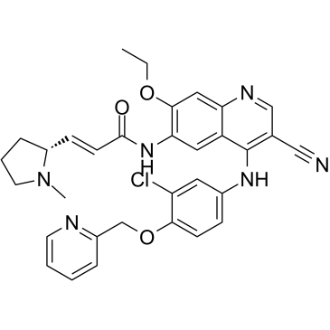 Pyrotinib (SHR1258) 1269662-73-8